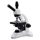 Ocular Lens Microscope